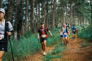 BIB: 
                            <button type="button" onclick="openModal(25676259)" class="btn btn-primary btn-sm float-right btn-popup" data-toggle="modal" data-target=".modal-high-quality">
                        <i class="fas fa-shopping-cart"></i> Add to Cart
                    </button>
                                            <button type="button" onclick="isThisMe(25676259, true)" class="btn btn-success btn-sm float-right btn-popup btn-isme hidden" data-toggle="tooltip" data-placement="bottom" title="นี่คือรูปของคุณใช่ไหม คลิกที่นี่เพื่อเอาเข้าอัลบั้ม">
                        <i class="fas fa-plus"></i> Add to album
                    </button>
                    <button type="button" onclick="isThisMe(25676259, false)" class="btn btn-warning btn-sm float-right btn-popup btn-isnotme hidden">
                        <i class="fas fa-ban"></i> Remove from album
                    </button>